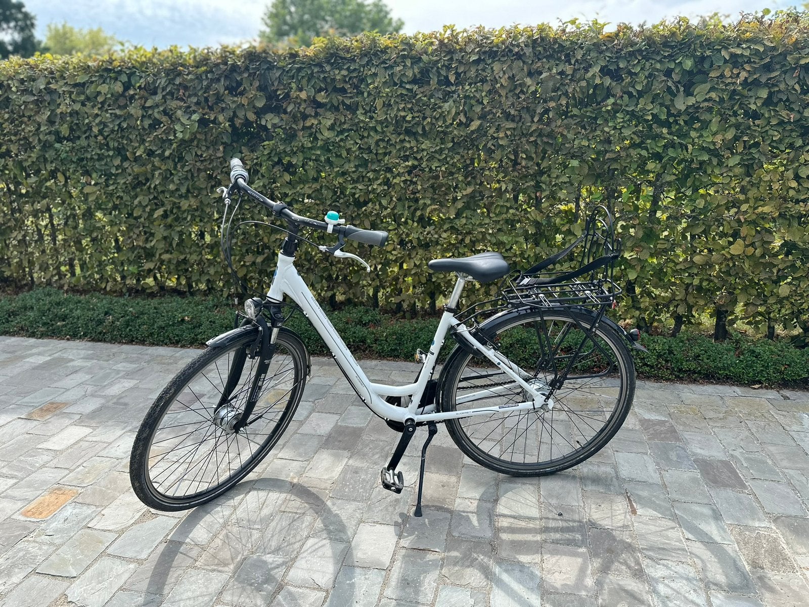 Damesfiets inclusief afneembaar bagagestoeltje, Enlèvement, Accès (extra) bas