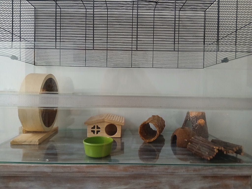 Hamsterkooi in glas en toebehoren voor goudhamster, Dieren en Toebehoren, Ophalen, Kooi, 110 cm of meer, Zo goed als nieuw