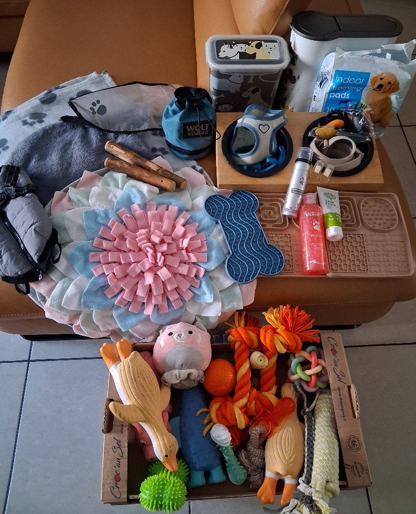 Gros lot pour chien, Enlèvement, Comme neuf