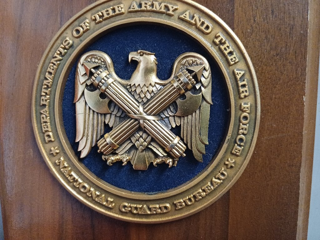 Bronzen wapenschild in Militaria, in reliëf, USA, Ophalen of Verzenden