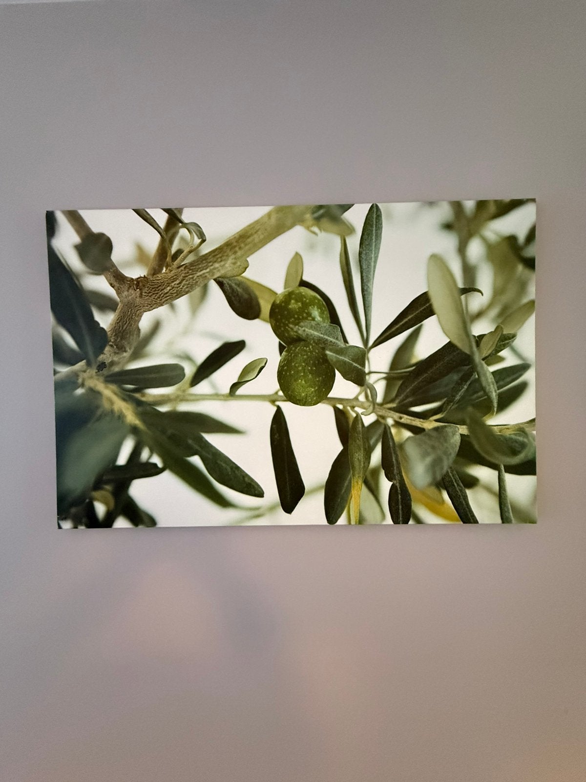 Schilderij, Enlèvement