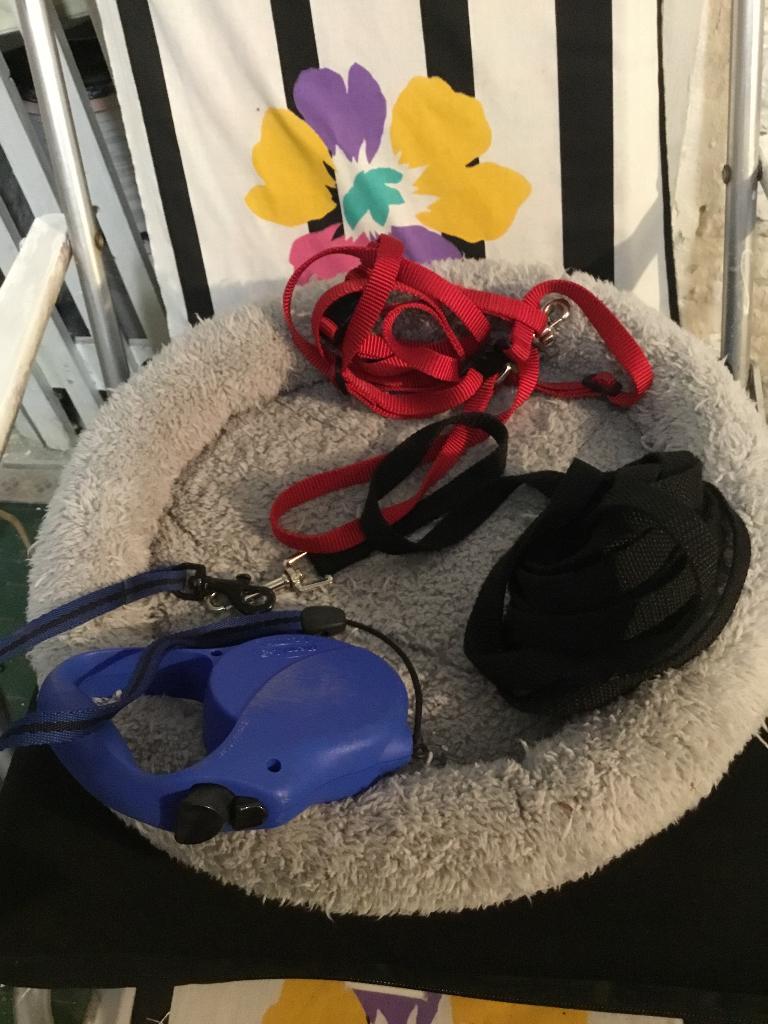 Hondenmand met 3 leibanden 1 oprol en 1 lange een harnas, Animaux & Accessoires, Paniers pour chiens, Enlèvement, Utilisé, Peluche