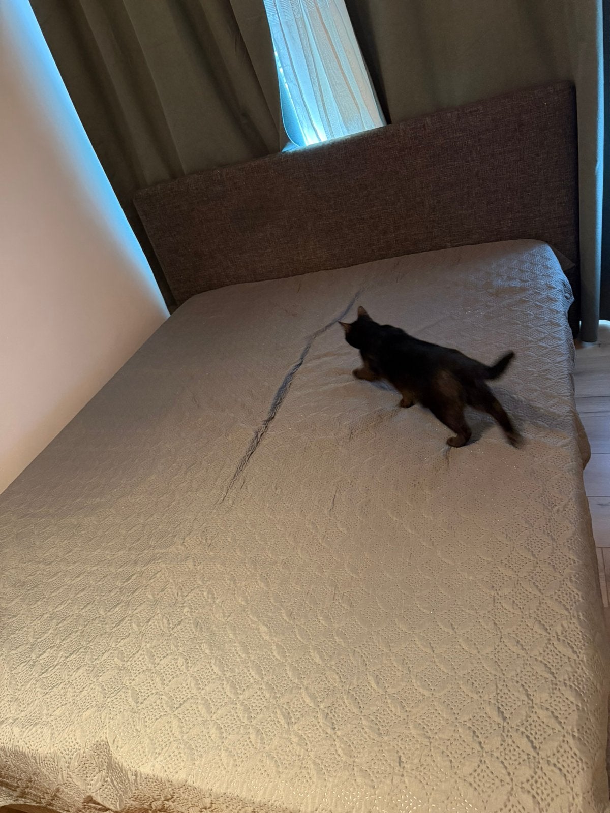 Gratis bed af te halen, Ophalen
