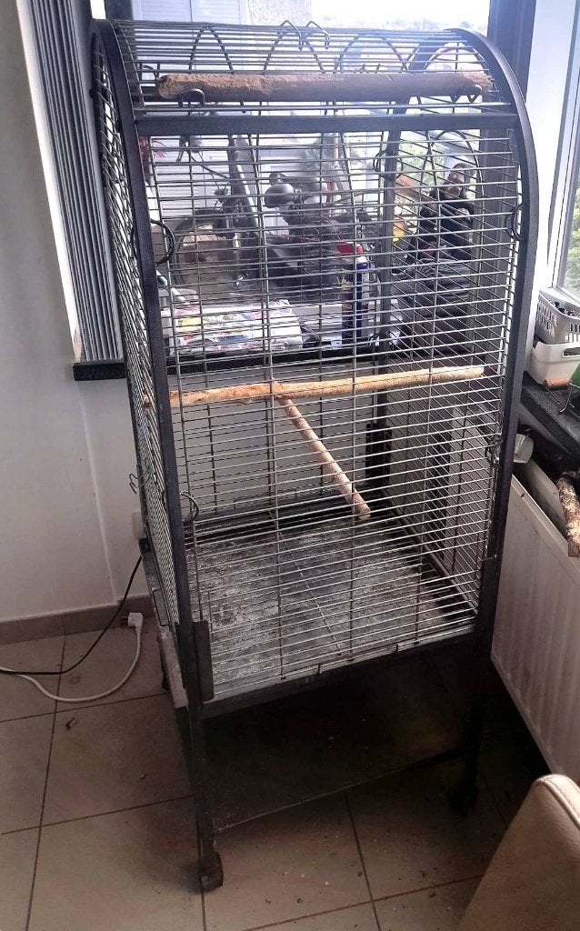 Papegaaikooi, Animaux & Accessoires, Enlèvement, Utilisé, Métal, Cage à oiseaux
