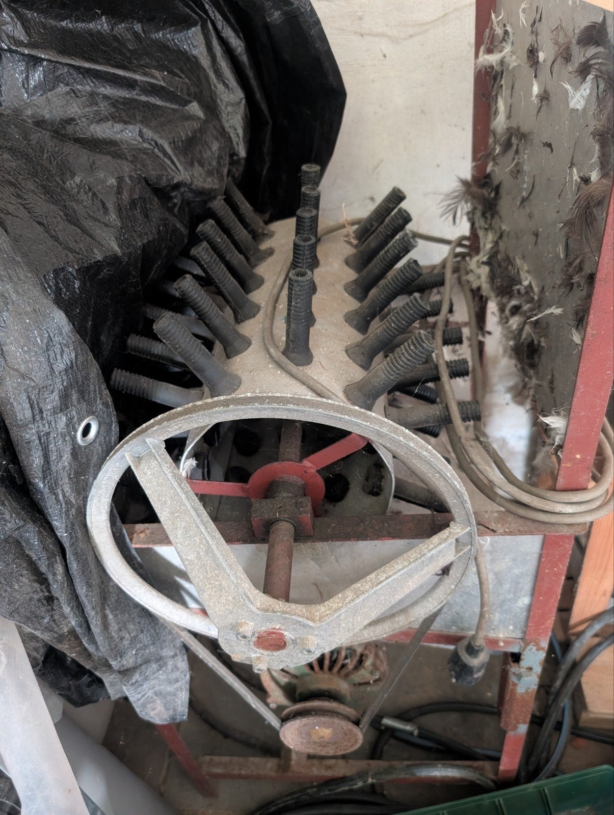 Pluim machine / plukmachine, Ophalen