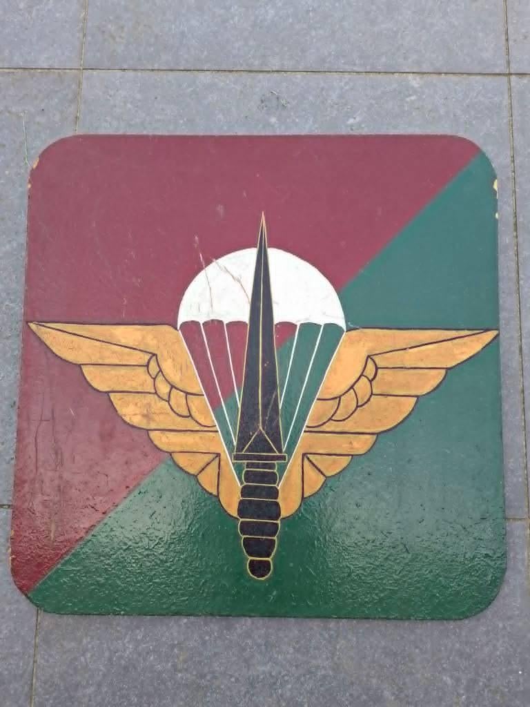Prachtige houten bord insigne para-commando ABL, Ophalen of Verzenden, Landmacht, Embleem of Badge