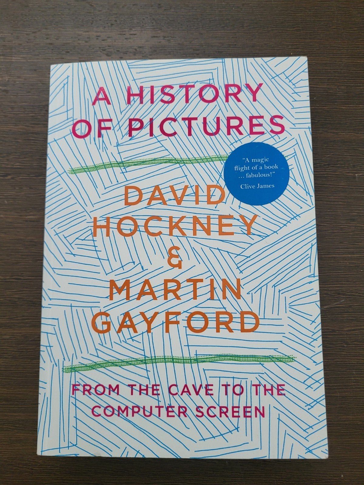 A History of Pictures David Hockney & Martin Gayford, Ophalen of Verzenden