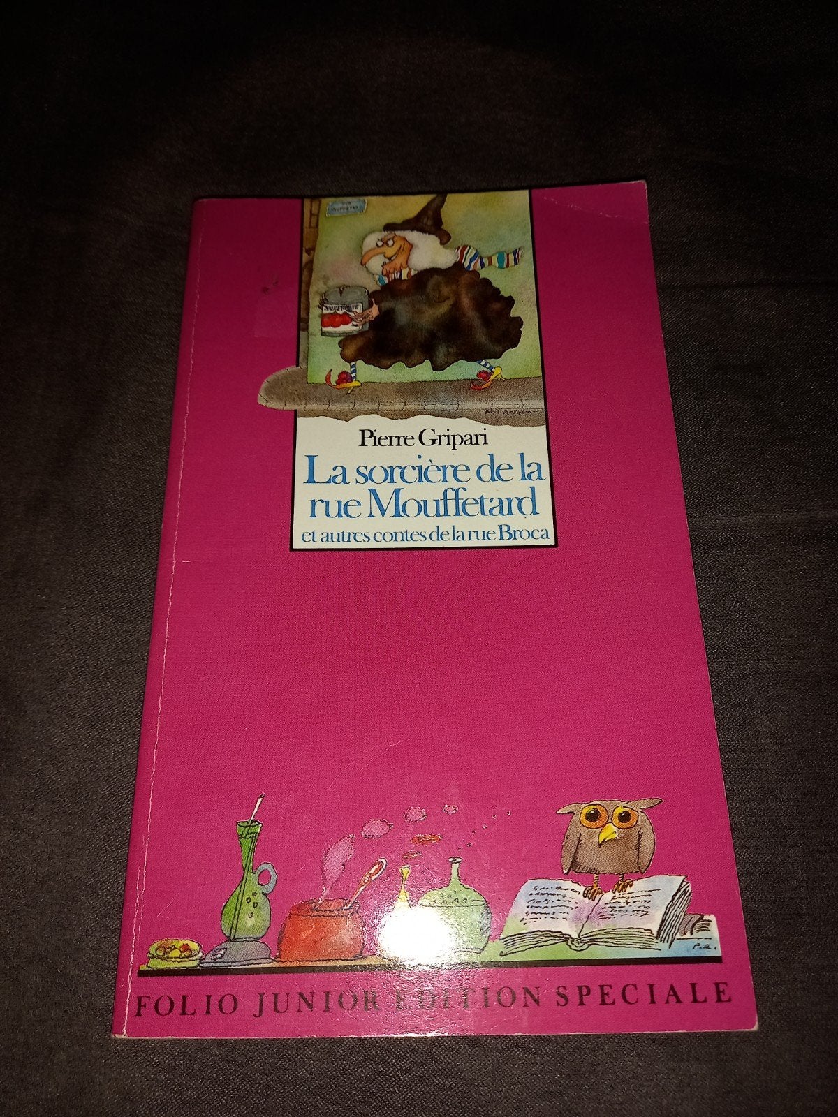 livre la sorcière de la rue mouffetard, Enlèvement