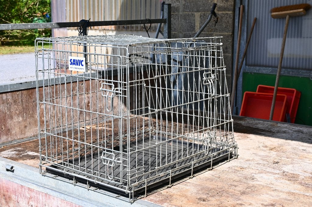 Cages transport chiens, Dieren en Toebehoren, Transportboxen, Ophalen, Zo goed als nieuw