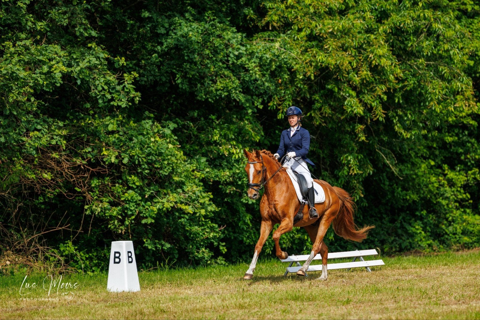 bombroof allrounder, Dieren en Toebehoren, Ruin, M