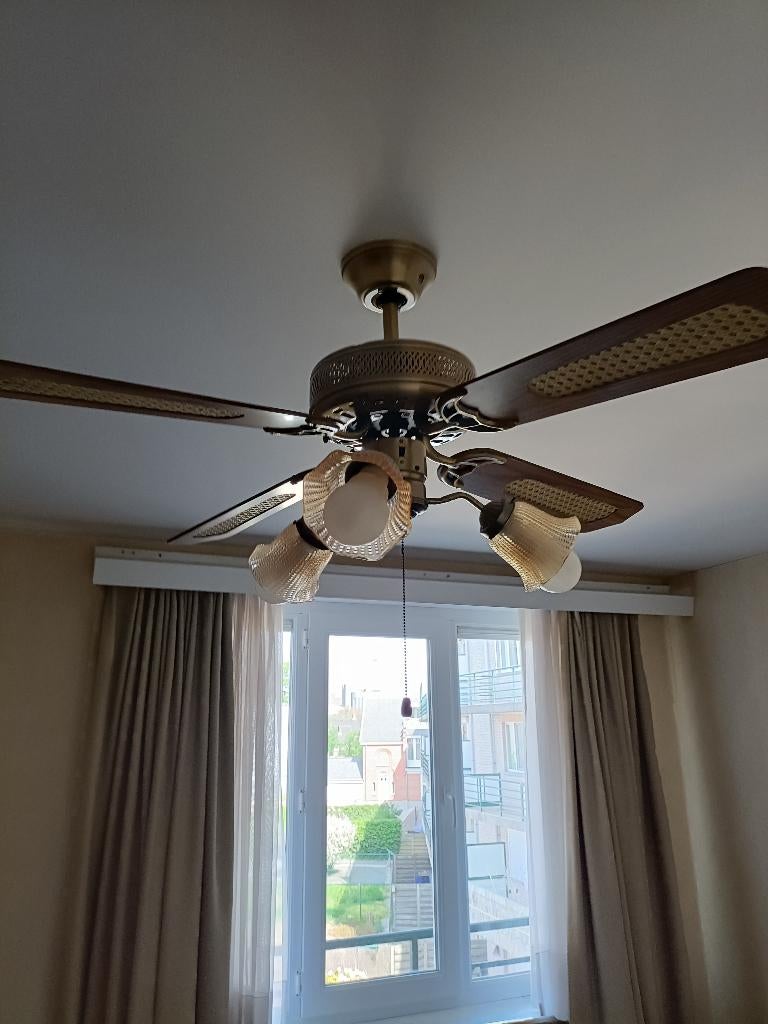 plafondlamp met ventilator, Ophalen, Gebruikt, Hout