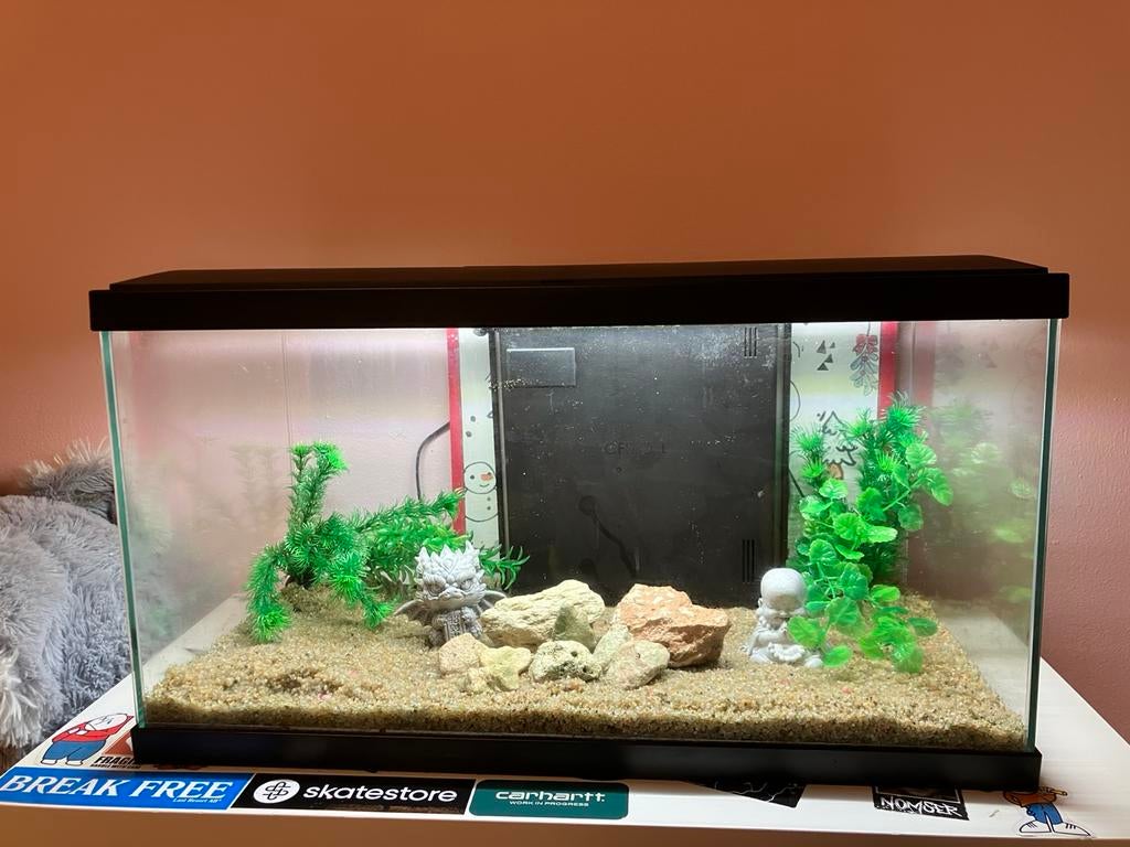 Ingerichte aquarium 58L met pomp en licht, Dieren en Toebehoren, Vissen | Aquaria en Toebehoren, Ophalen, Zo goed als nieuw
