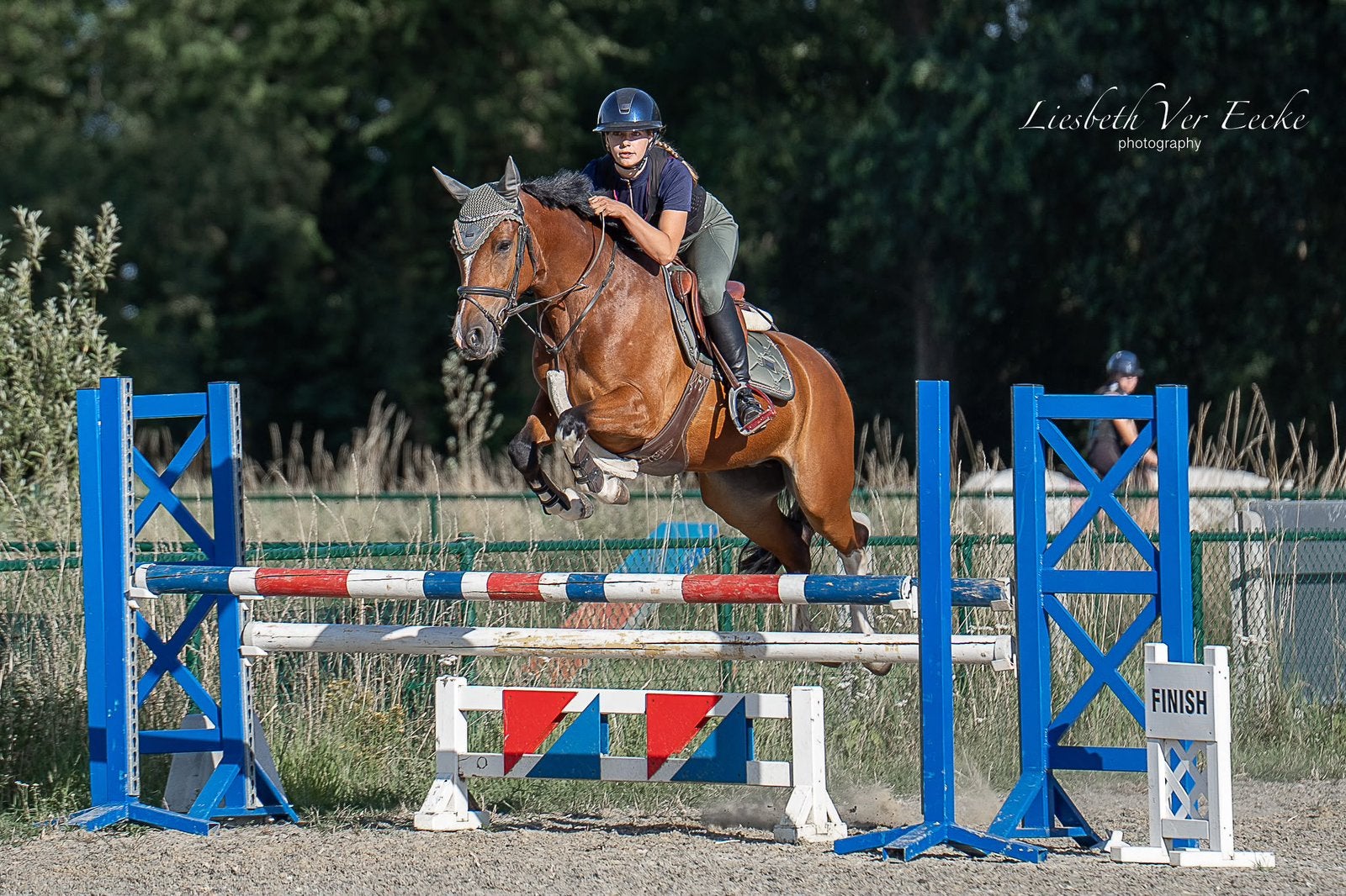 5 jarige D pony - Springpony met veel potentieel, Ruin, Niet van toepassing, Springpony, 3 tot 6 jaar