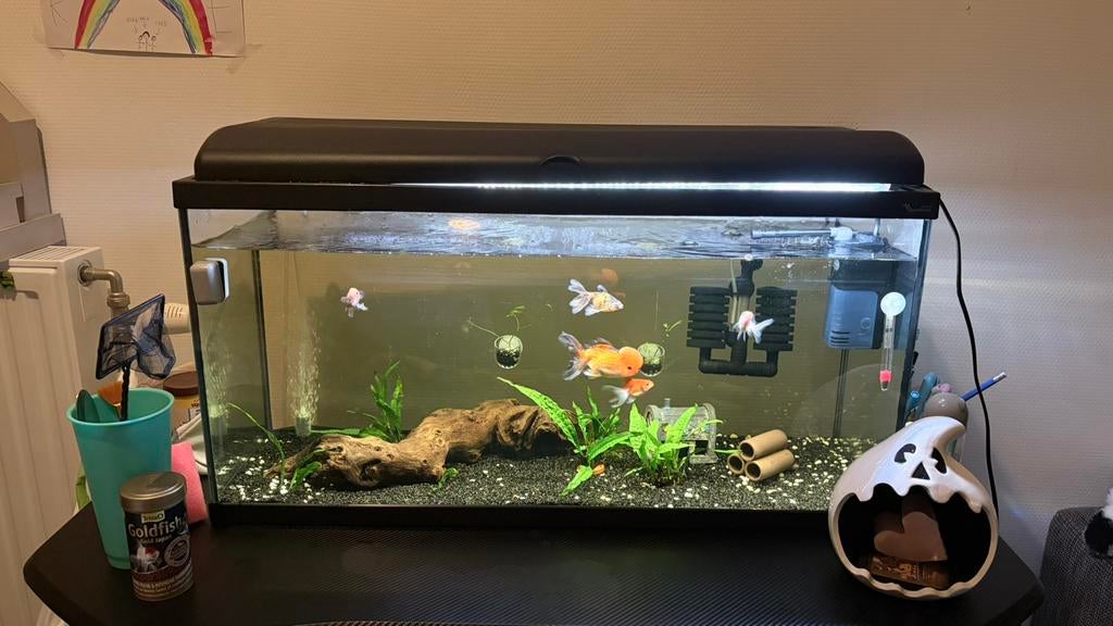 Aquarium (ALLES İNBEGREPEN), Dieren en Toebehoren, Vissen | Aquaria en Toebehoren, Zo goed als nieuw, Decoratie, Inclusief deksel
