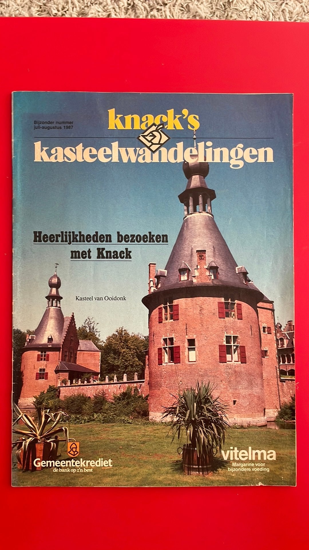 Kasteelwandelingen Loppem Ooidonk Horst Oelegem Alden-Biesen, Ophalen of Verzenden, Gelezen