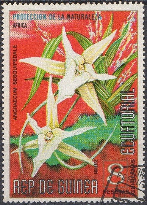 Equatoriaal Guinea - Darwin Orchidee - 1974, Timbres & Monnaies, Timbres | Afrique, Enlèvement ou Envoi, Affranchi