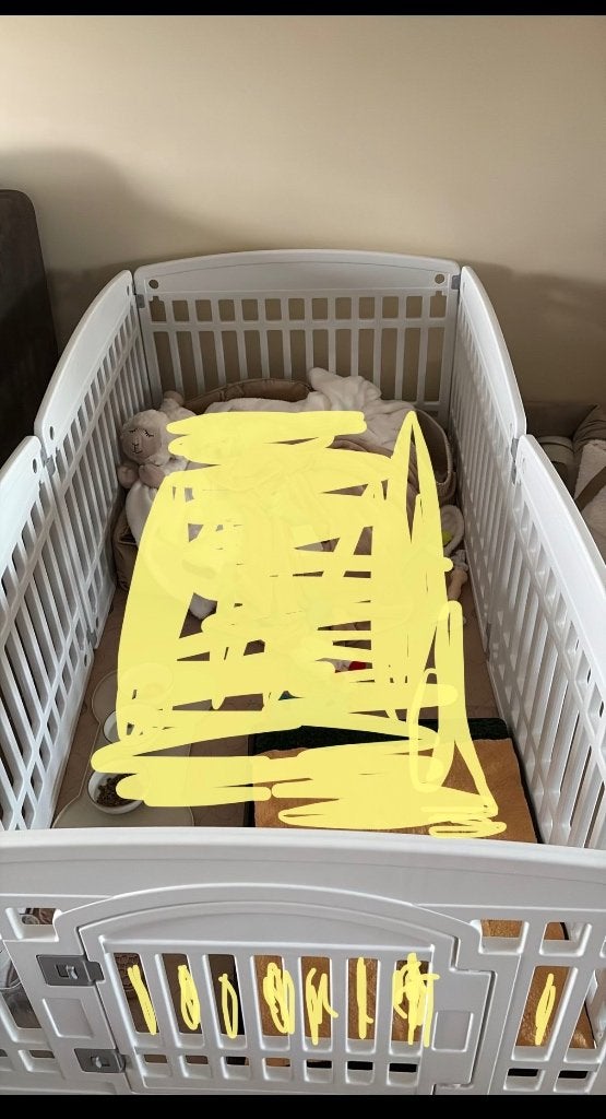 Puppyren, Ophalen, Zo goed als nieuw, Hondenkennel, 65 tot 100 cm