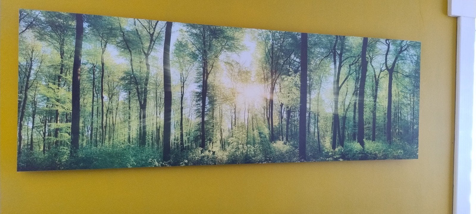 Canvas natuur, Verzamelen, Ophalen