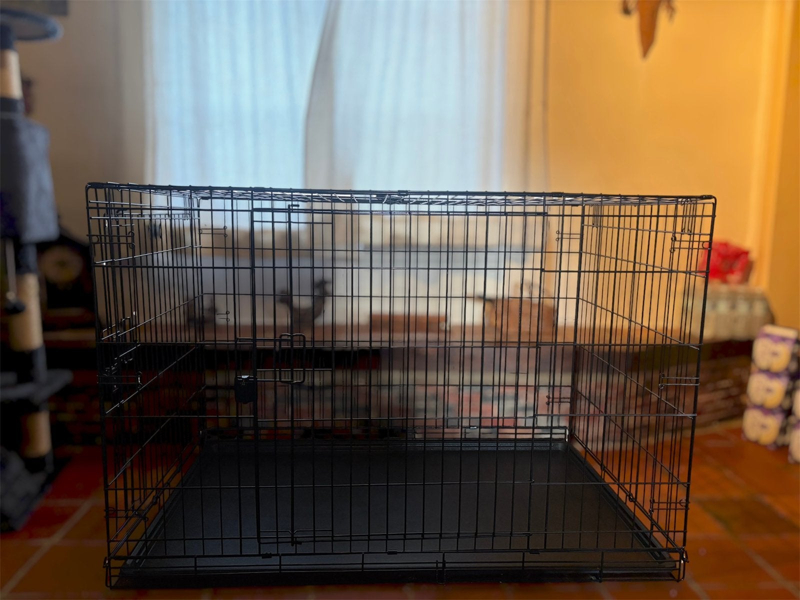 Bench 2-deurs – 122 x 76 x 83 cm, Ophalen, Hondenkennel, 110 cm of meer, 65 tot 100 cm