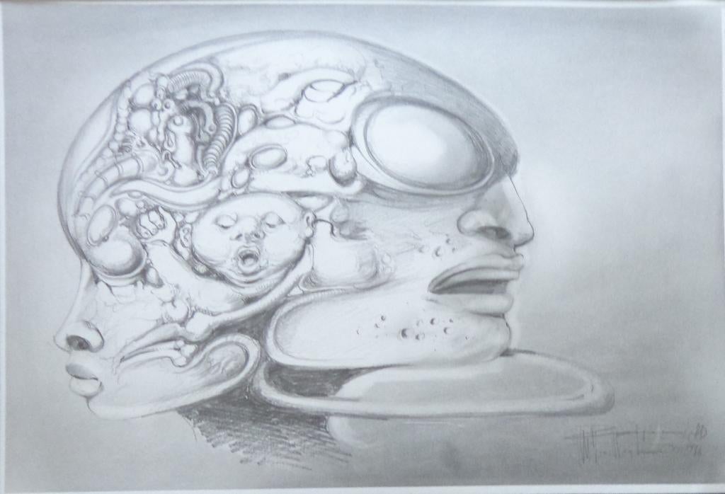 ROGER VAN BELLEGHEM / HOOFDEN / ORIGINEEL / 41x53cm / KADER, Antiquités & Art, Art | Dessins & Photographie, Enlèvement ou Envoi