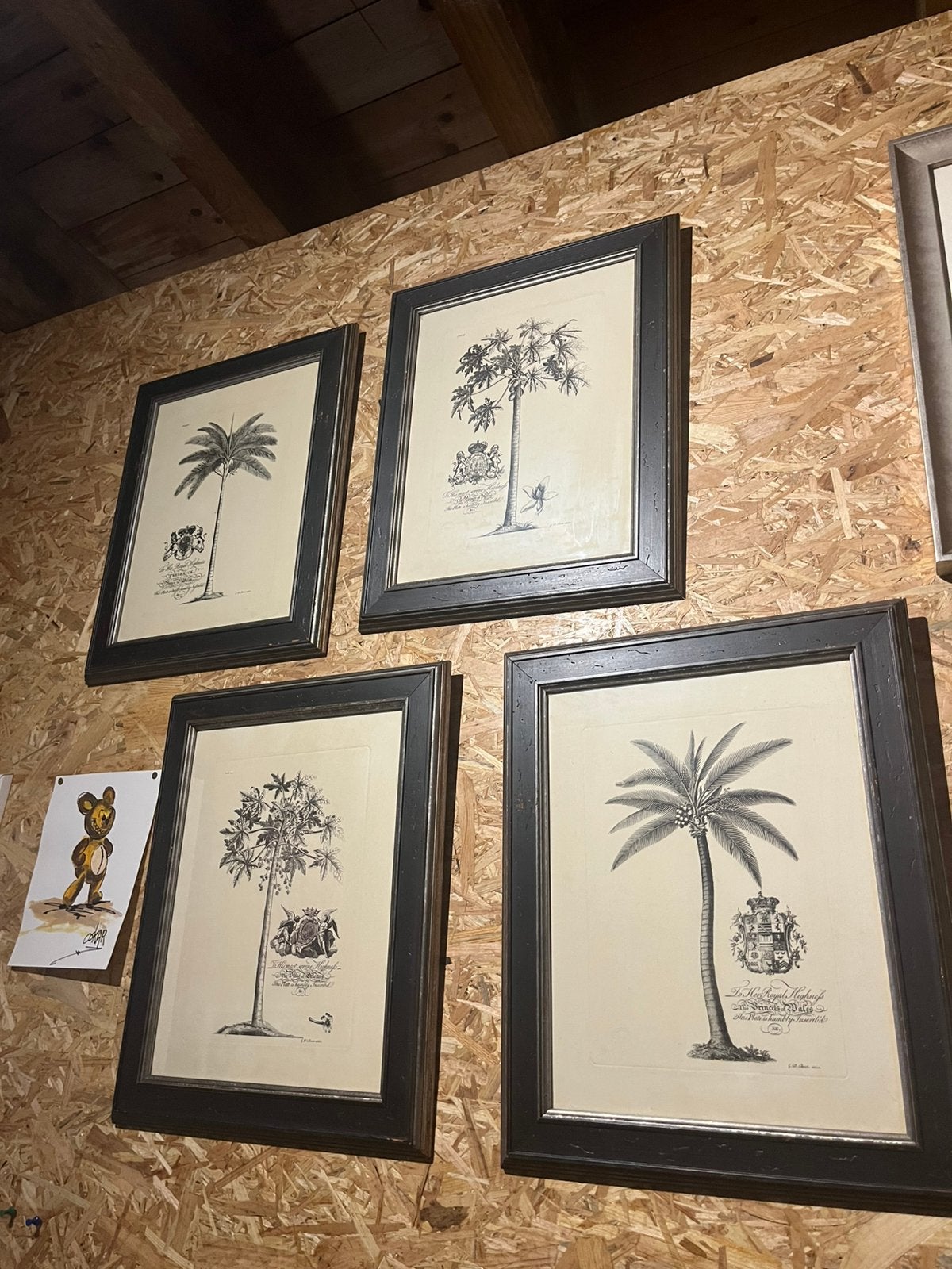 18e-eeuwse botanische litho's/prenten, Ophalen, Zo goed als nieuw