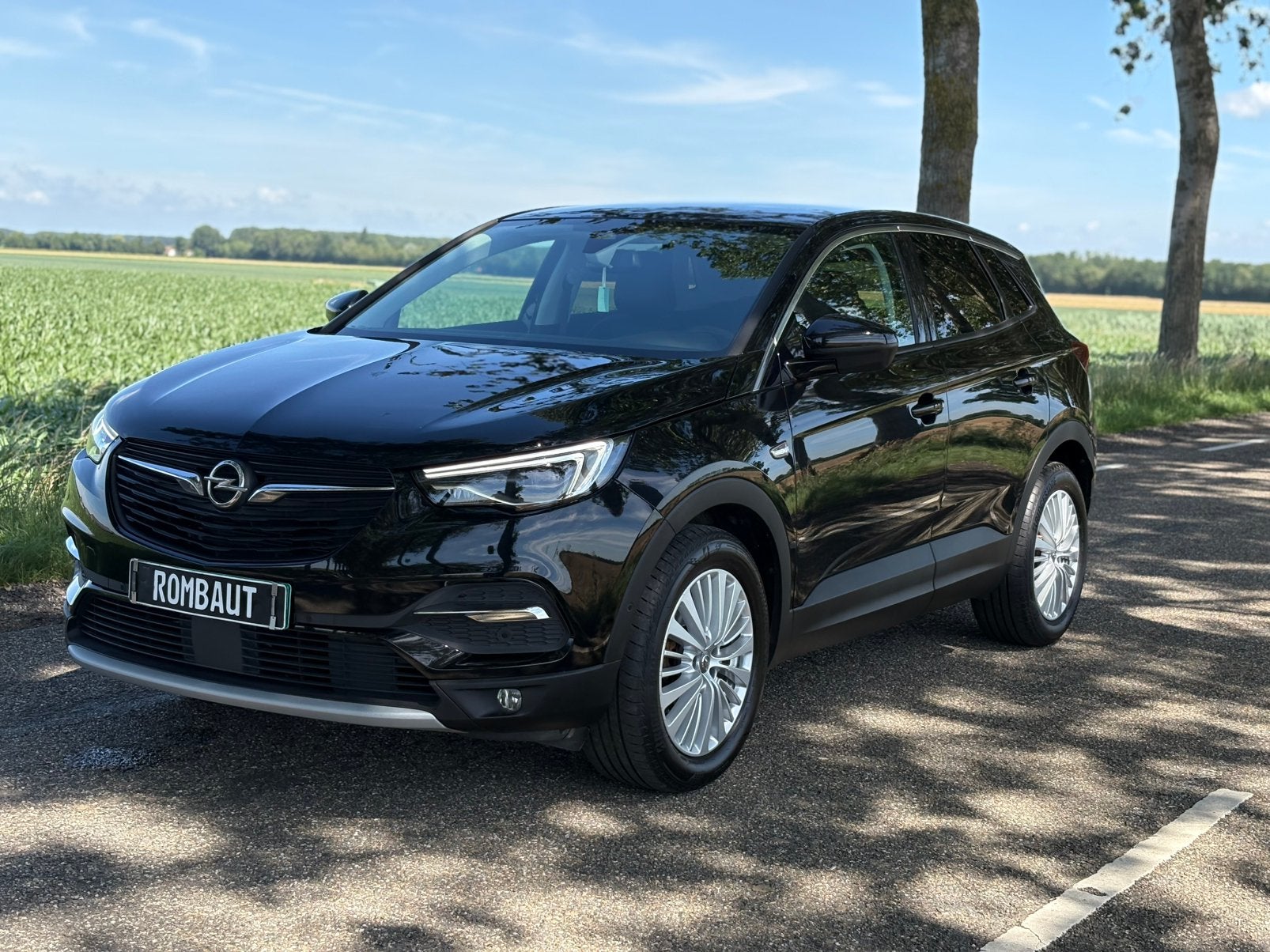 Opel Grandland X | 76 DKM | NIEUWE RIEM | HALFLEDR | CARPLAY, Autos, Opel, Achat, Euro 6, Entreprise, 96 kW