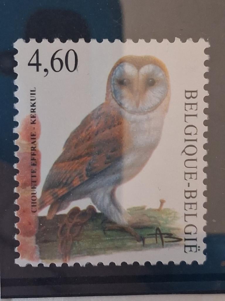 Belgique OBP 3983 neuf année 2010, Enlèvement ou Envoi, Neuf