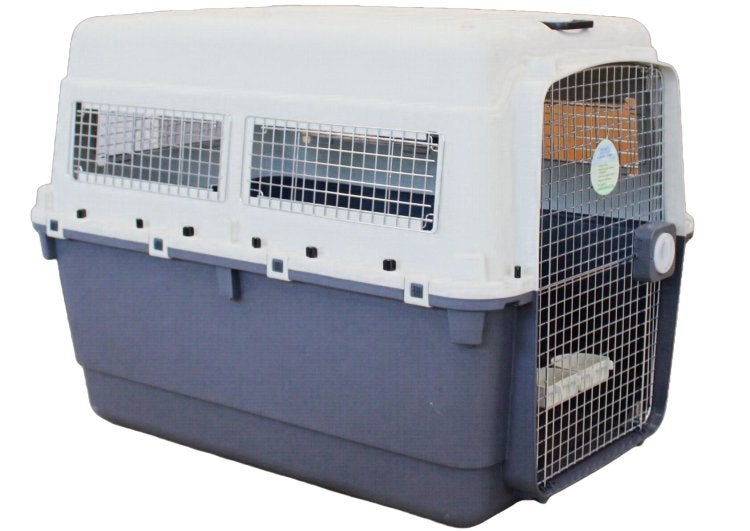 Chenil de transport XXS neuf, Animaux & Accessoires, Enlèvement, Neuf