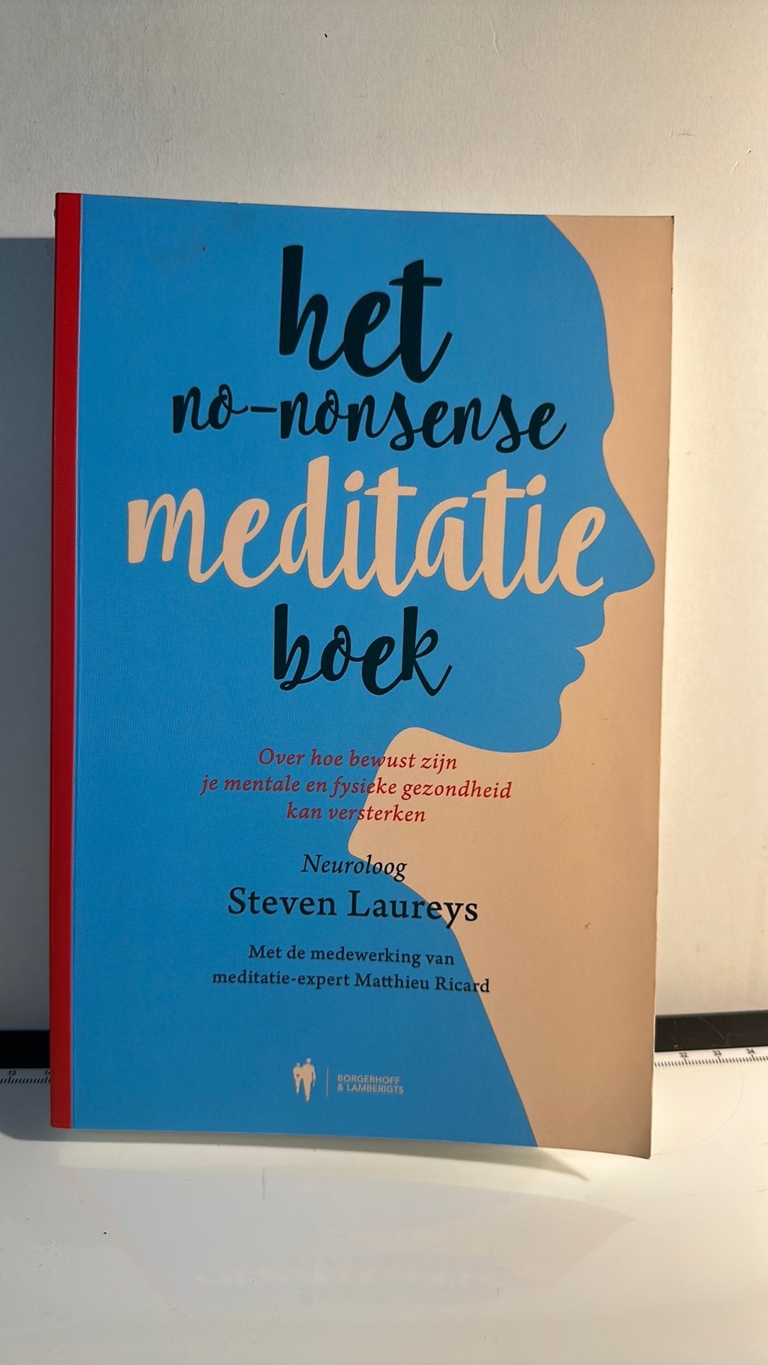 Steven Laureys - Het no-nonsense meditatieboek, Boeken, Ophalen of Verzenden, Zo goed als nieuw, Steven Laureys; Matthieu Riccard