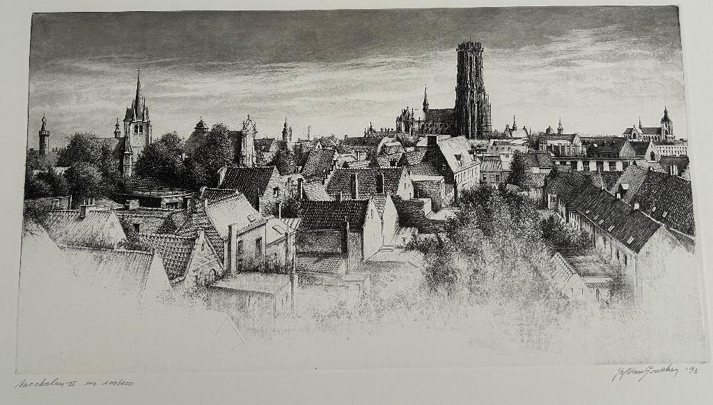 Ets Mechelen II Jef van Grieken, Enlèvement