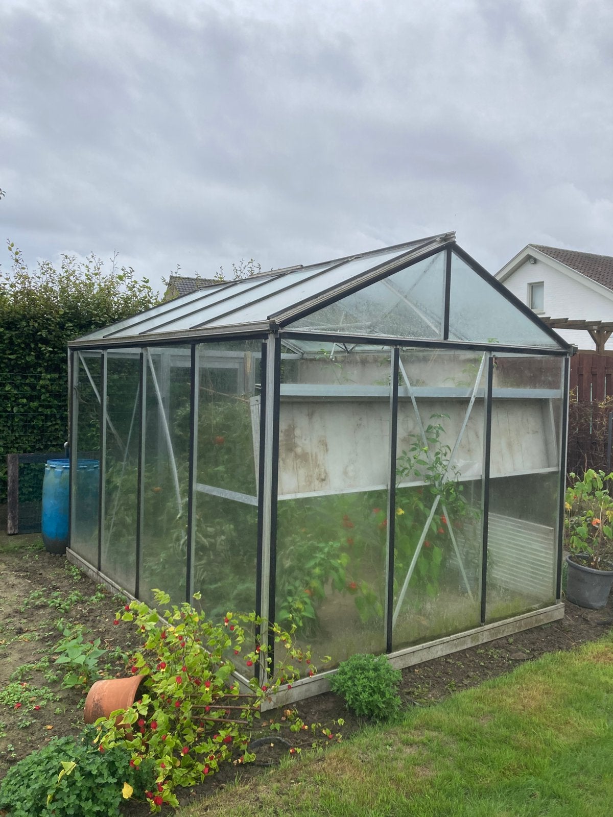 Serre aluminium, Ophalen, Gebruikt, Kweekkas, Glas