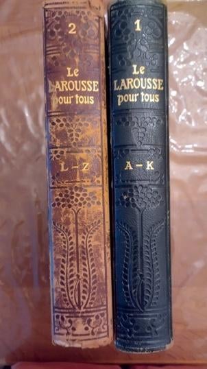 Ancien dictionnaire illustré (Larousse), Boeken, Frans, Overige uitgevers, Ophalen, Gelezen