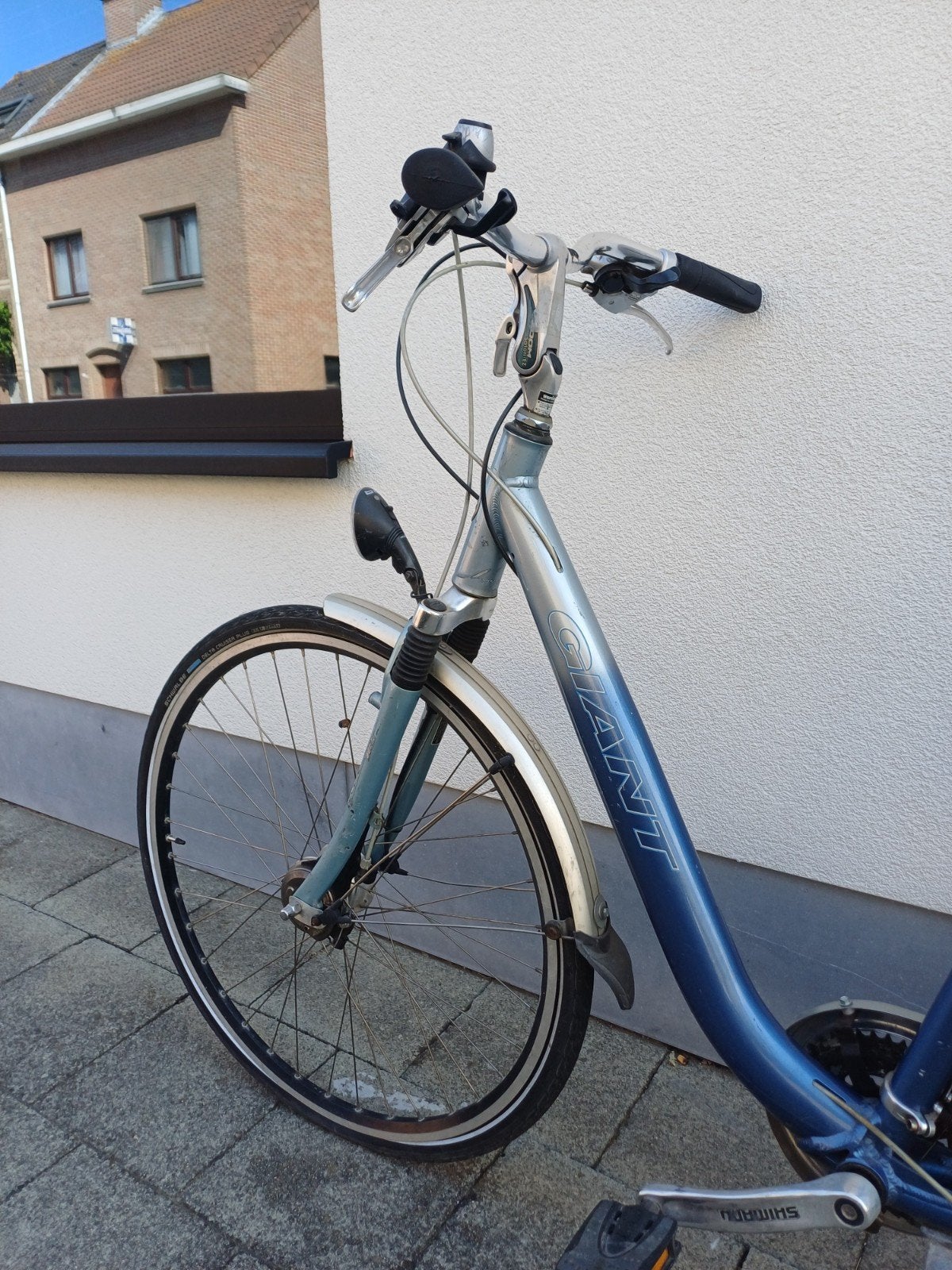 Damesfiets Giant, Ophalen, Giant
