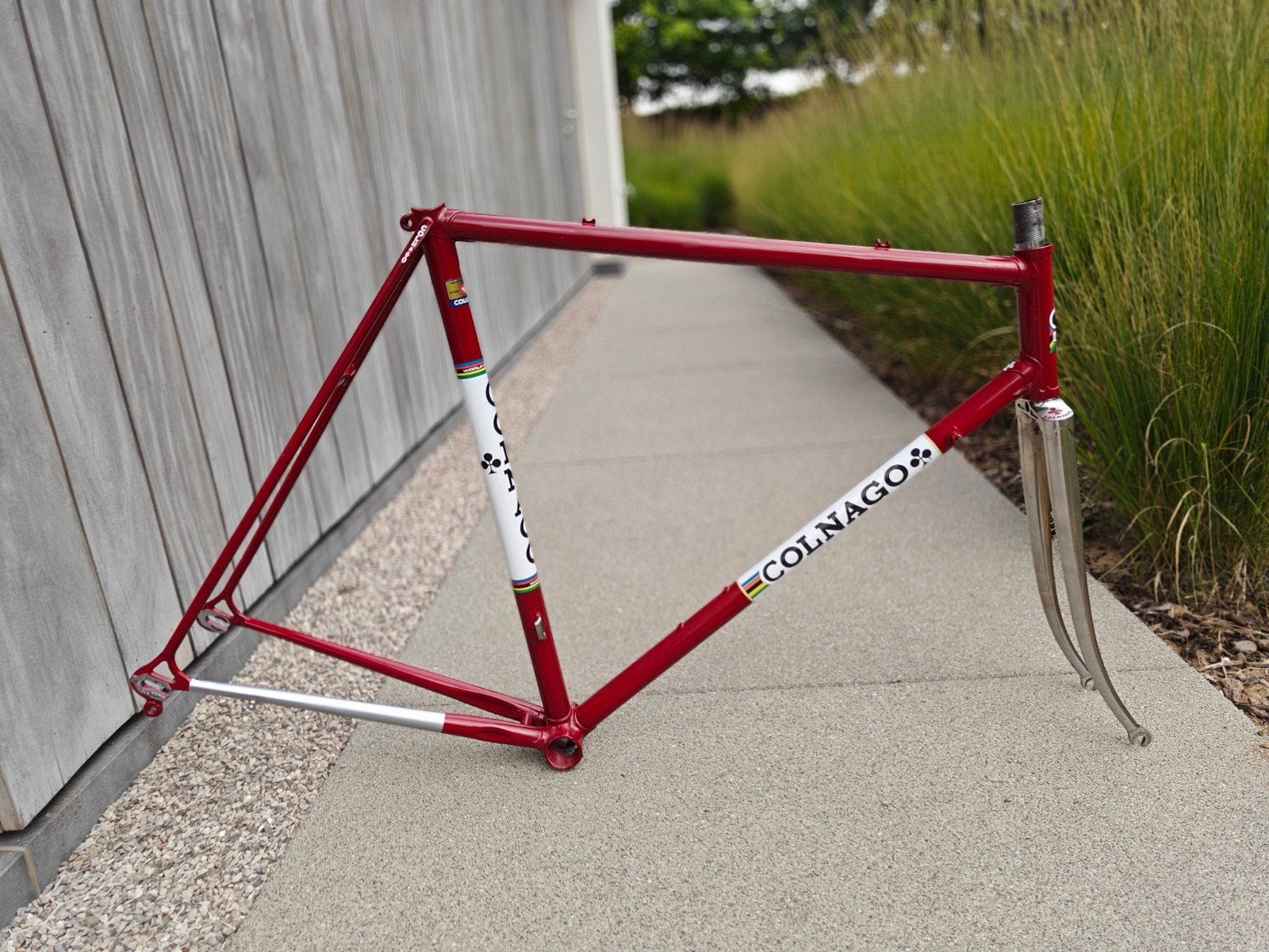 2 nieuw gelakte frames: Colnago + Gazelle, Fietsen en Brommers, 55 tot 59 cm, Ophalen of Verzenden