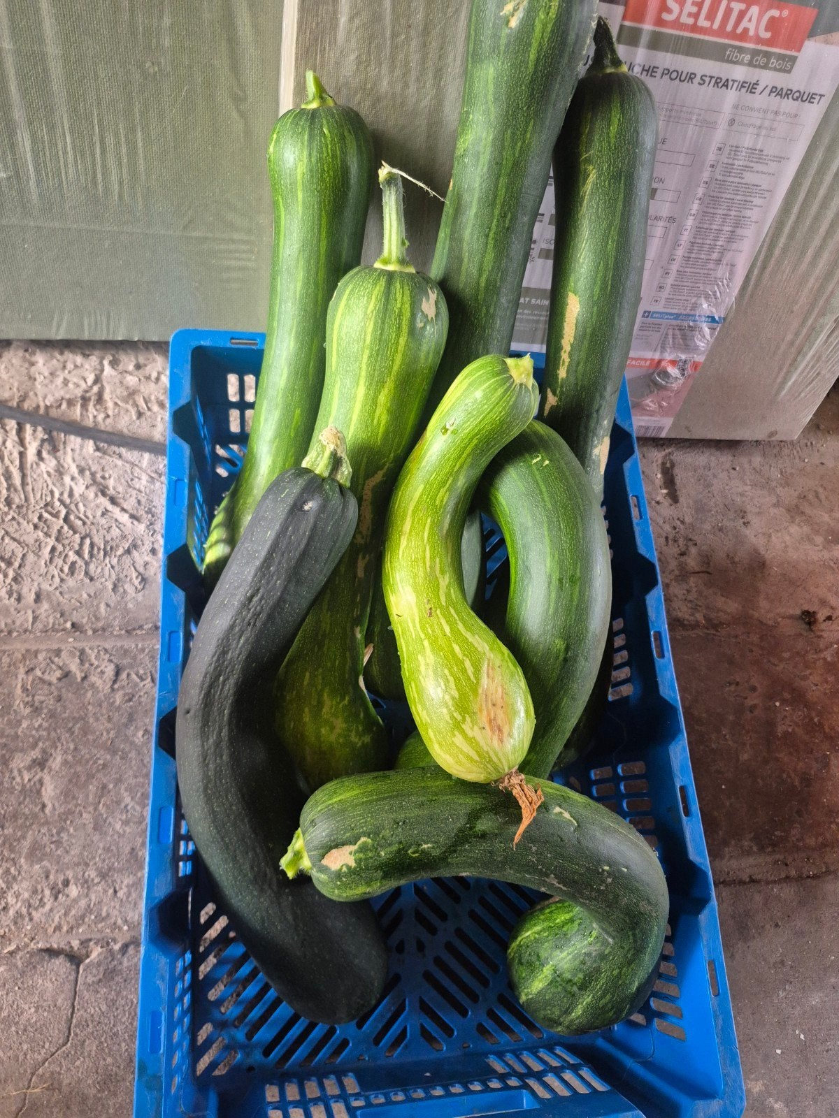 courgettes biologiques, Enlèvement