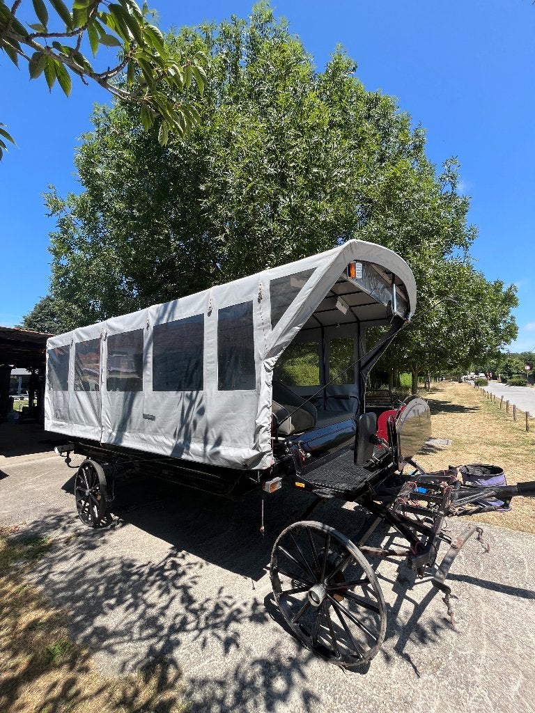Paardenkoets, Gebruikt, Wagonette, Paard