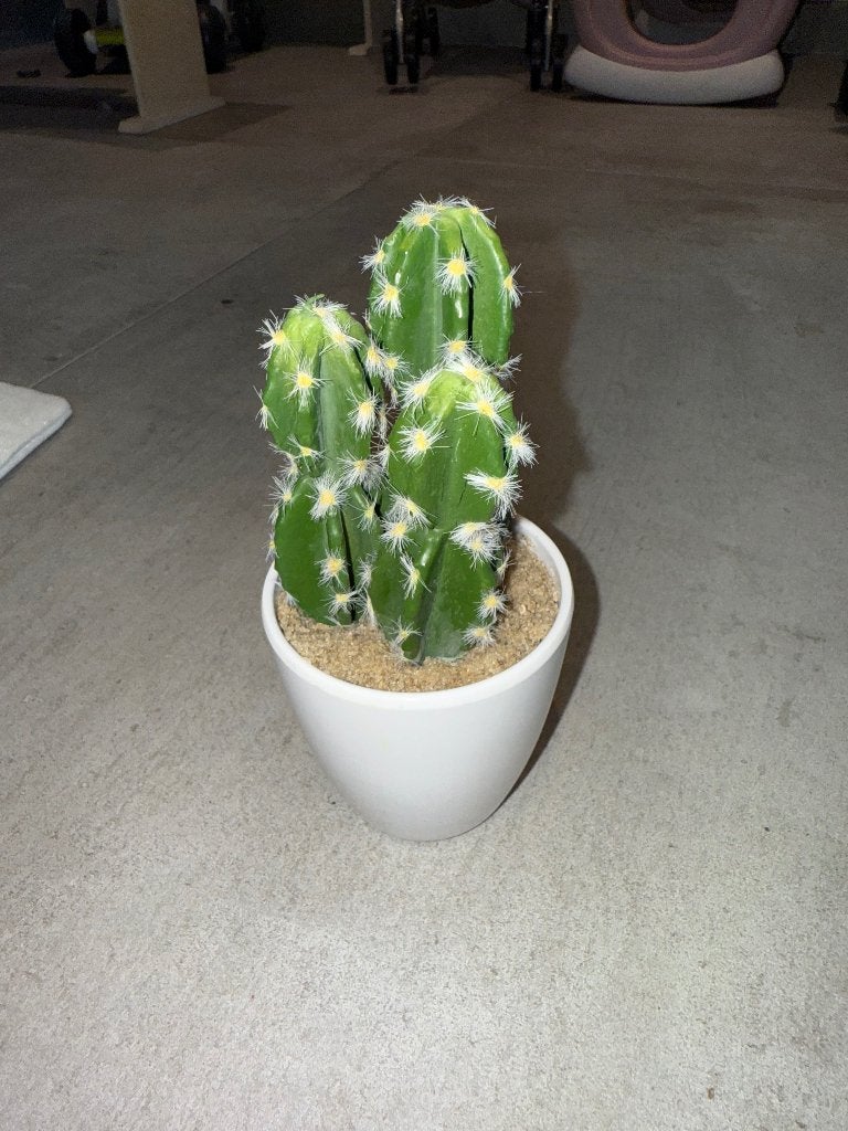 Cactus artificiel en pot Casa blanc, Enlèvement ou Envoi, Cactus, En pot