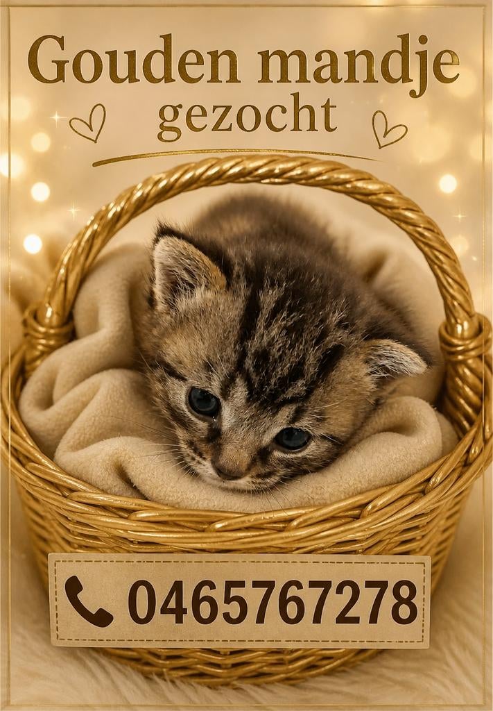 Warme thuis gezocht