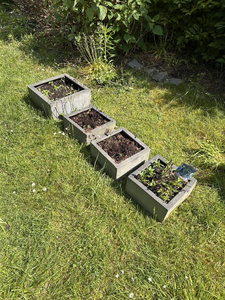 Boîtes à fleurs en pierre, Jardin & Terrasse, Moins de 30 cm, Pierre, Enlèvement, Intérieur