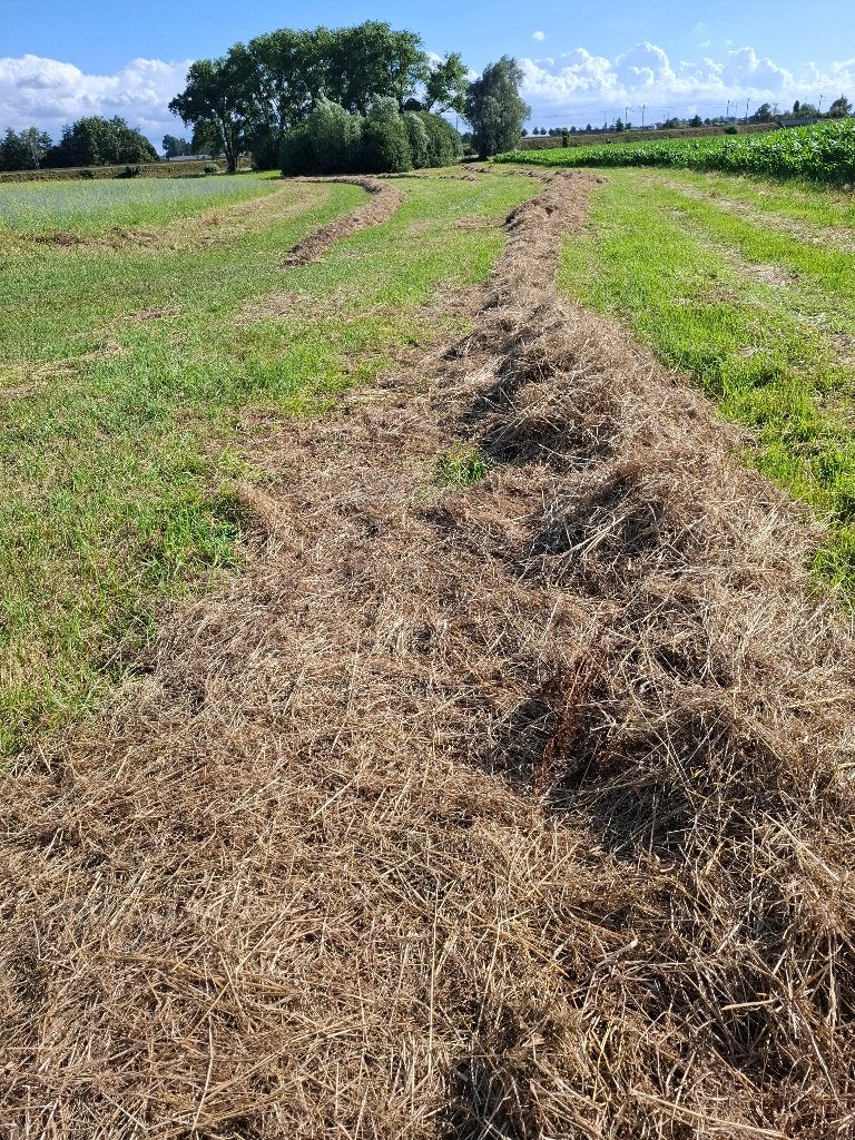 hooi, gras