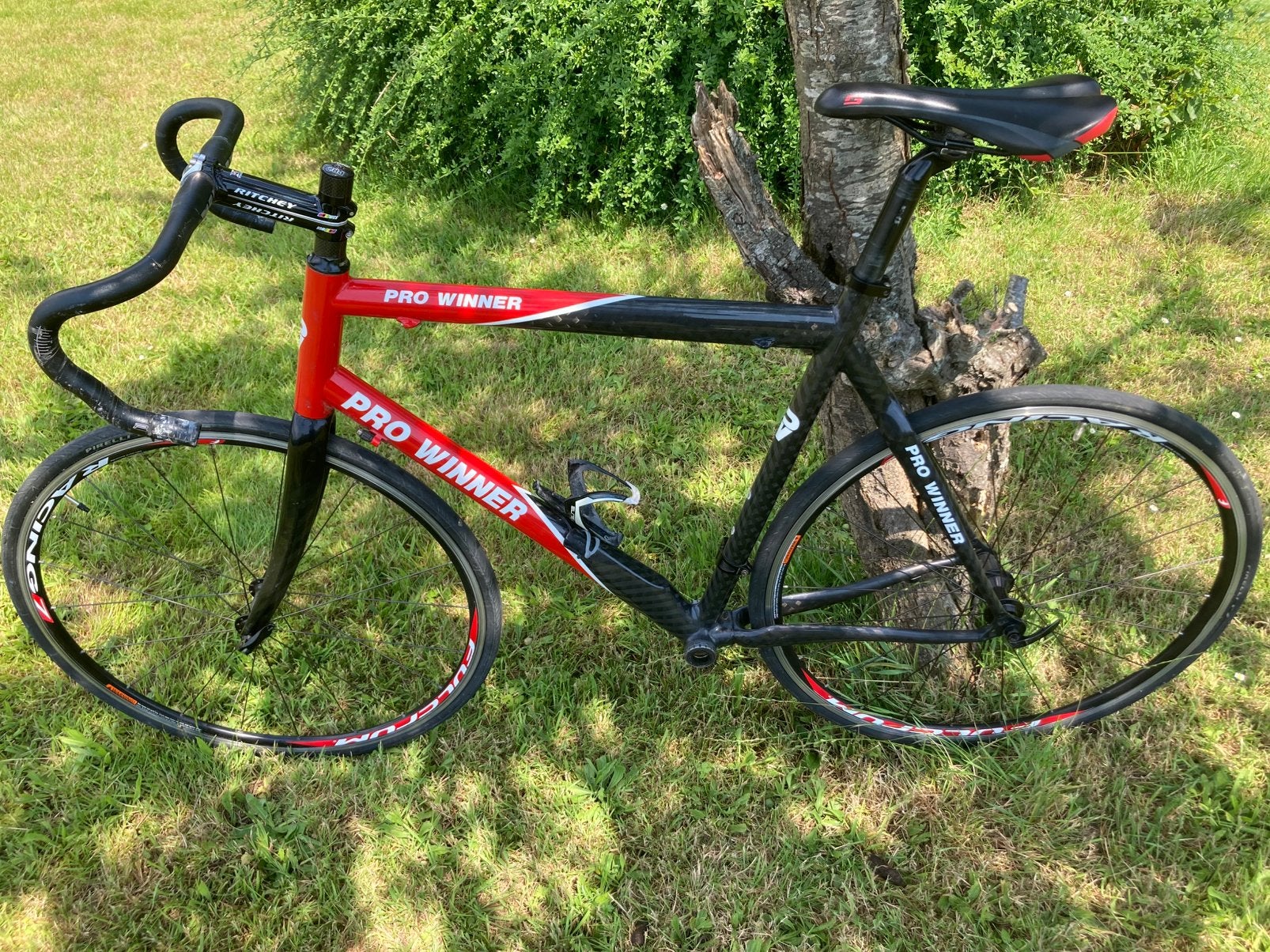 Frameset koersfiets Pro Winner, 28 inch, Gebruikt, Velgrem, 57 tot 61 cm