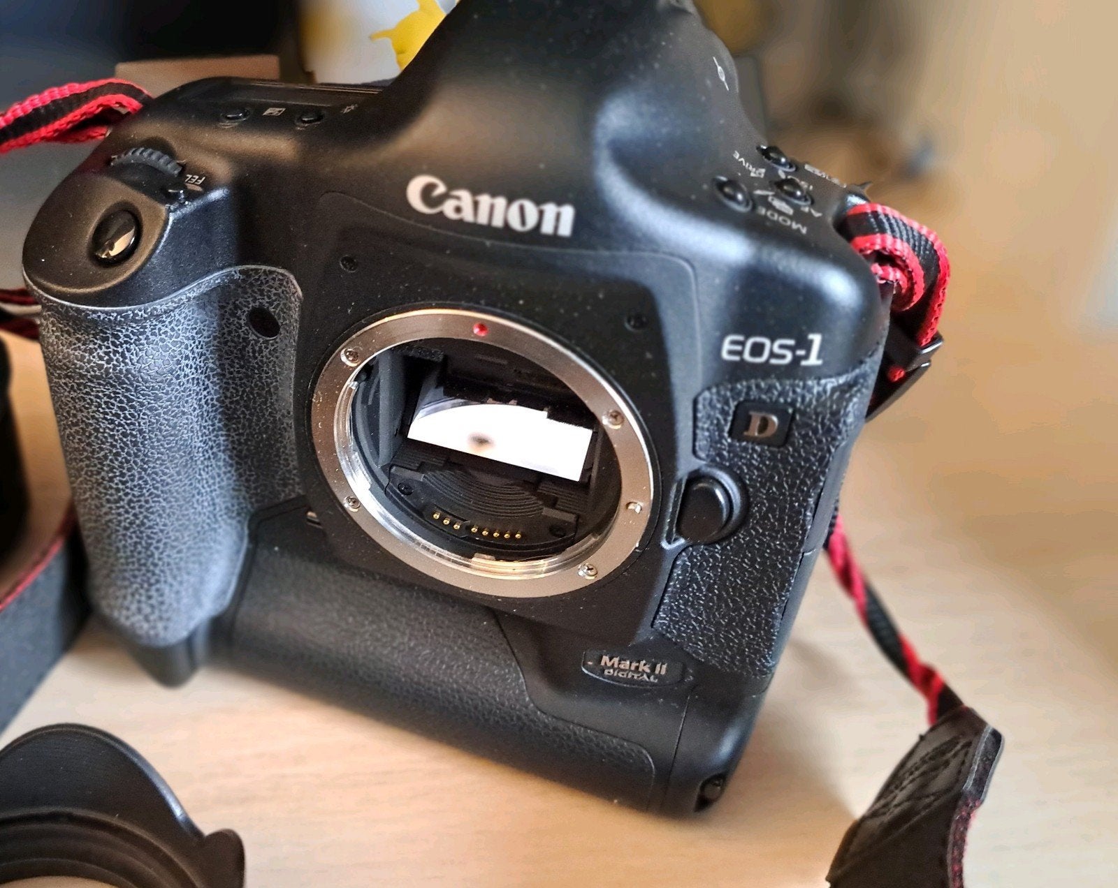 Canon eos 1D mark II boîtier uniquement en parfait état, Enlèvement ou Envoi, Comme neuf, Canon