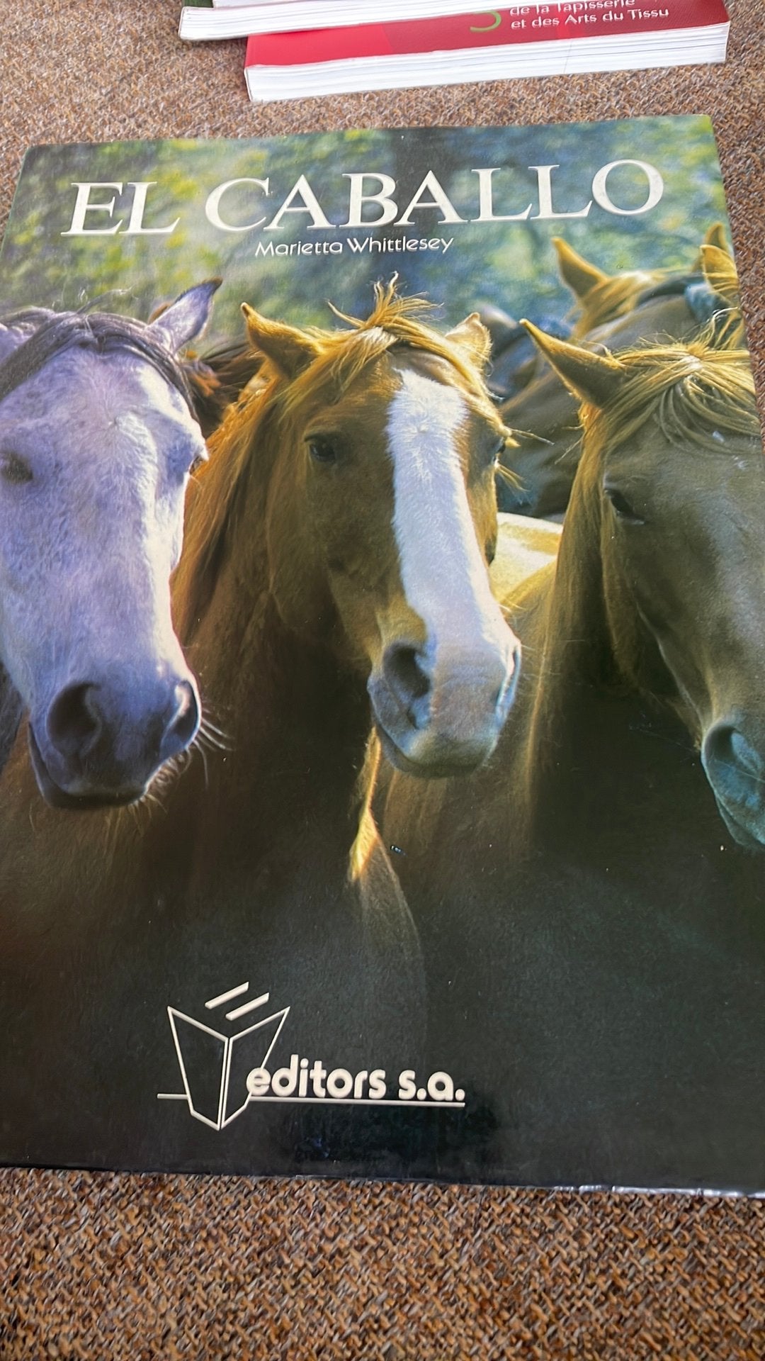 El caballo - livre photo de chevaux, Enlèvement ou Envoi, Comme neuf, Chevaux ou Poneys