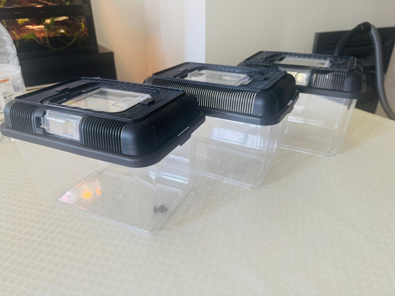 Terrariumbakken / Faunaboxen – 24  16  17 cm – 8 stuks, Ophalen, Zo goed als nieuw