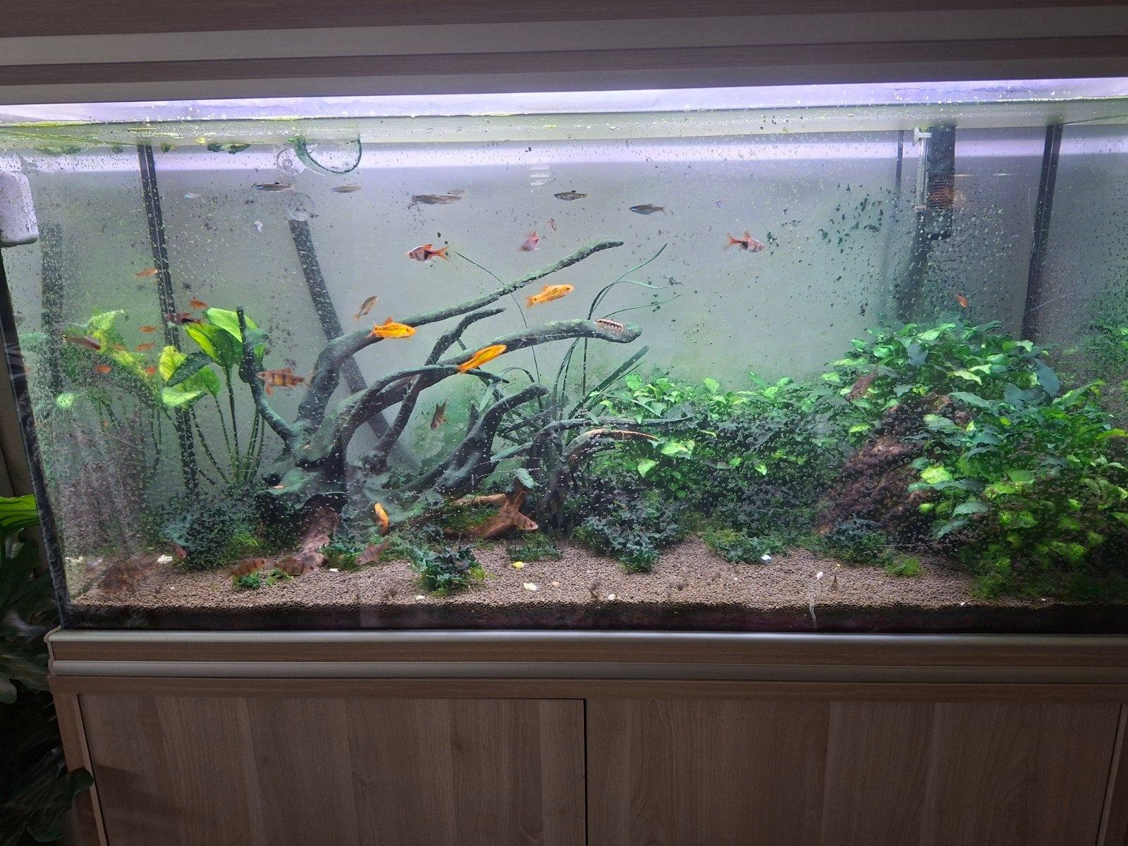 aquarium met vinden en toebehoren, Ophalen, Filter