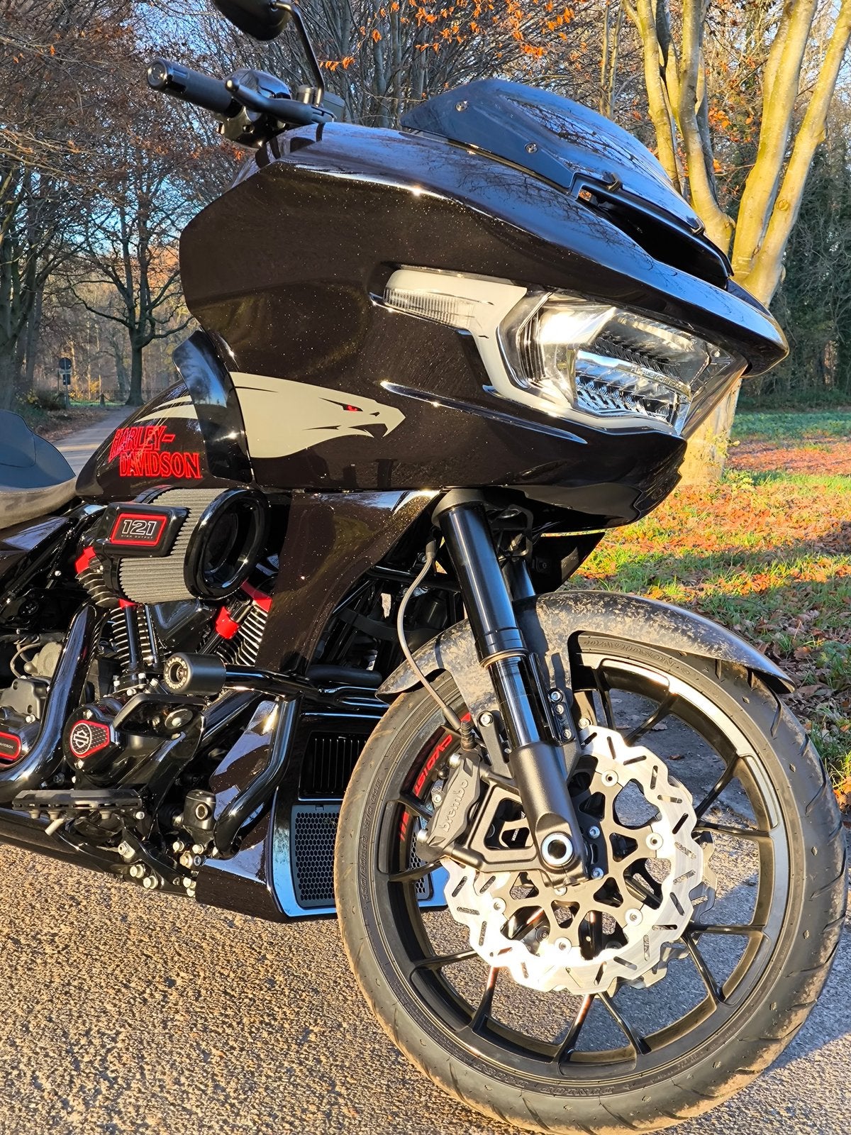 Harley davidson cvo st, Particulier