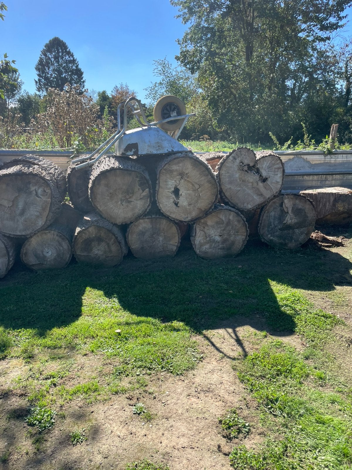 Bois de chauffage a vendre, 6 m³ ou plus, Enlèvement, Autres essences de bois