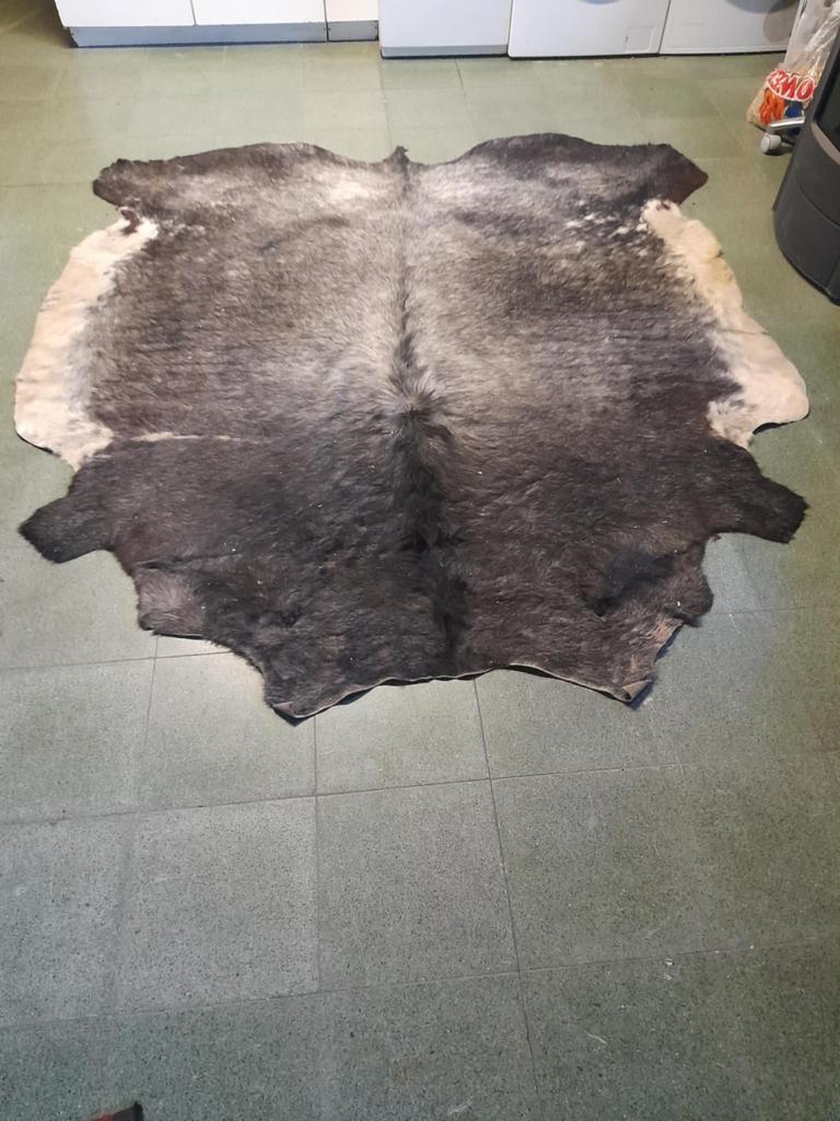 Koeienhuid tapijt groot, Ophalen, Gebruikt, Bruin, 150 tot 200 cm