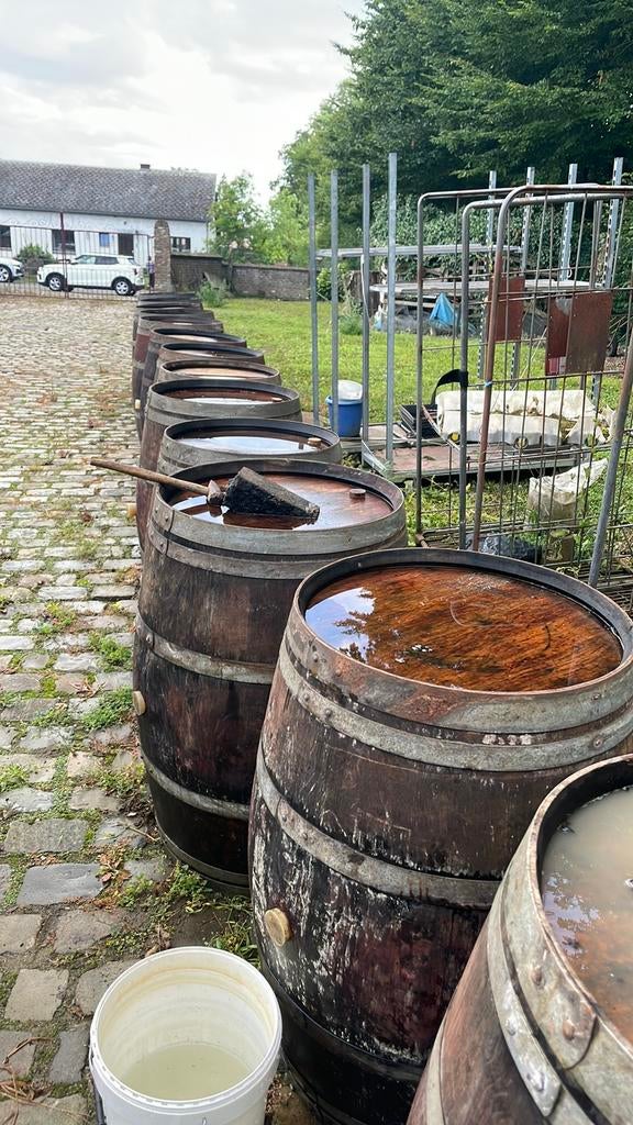 Tonneau a vin vides à vendre ou à louer, 150 liter of meer, Ophalen, Zo goed als nieuw, Hout