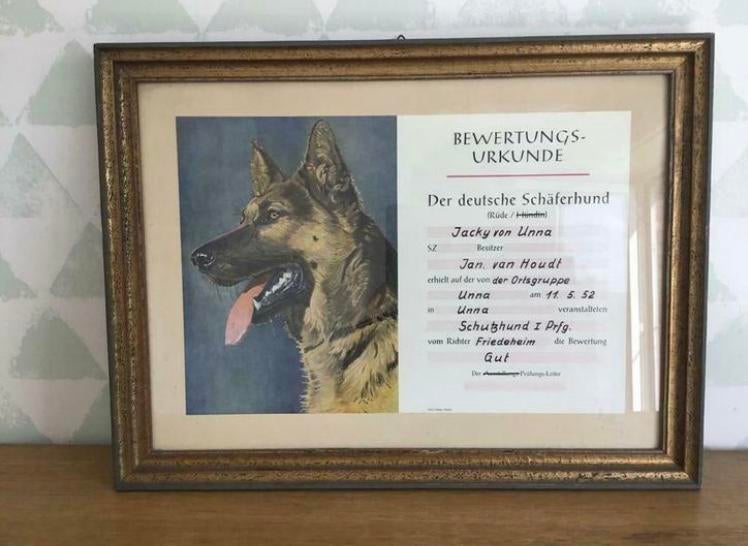 Beoordelingscertificaat Duitse Herder 1952, Enlèvement ou Envoi